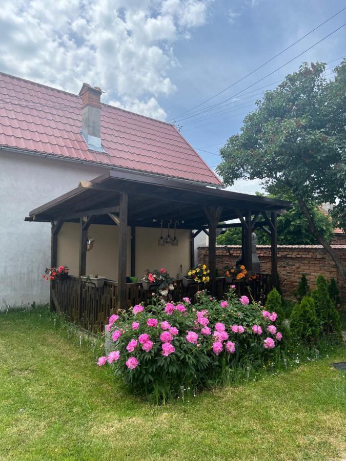 Silver House Rasnov المظهر الخارجي الصورة